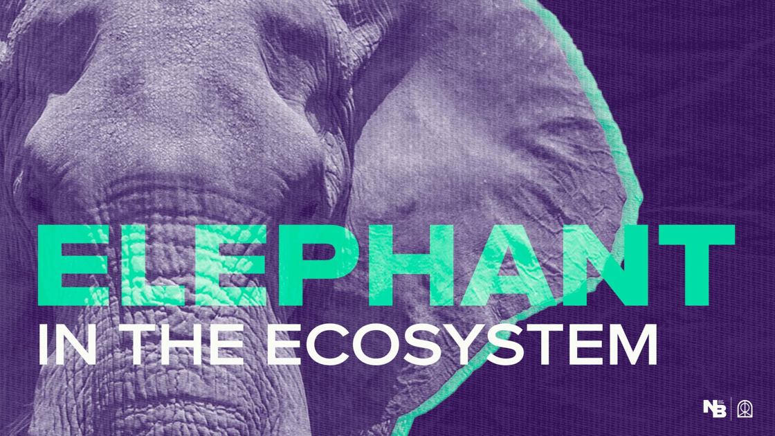 Elephant in the Ecosystem